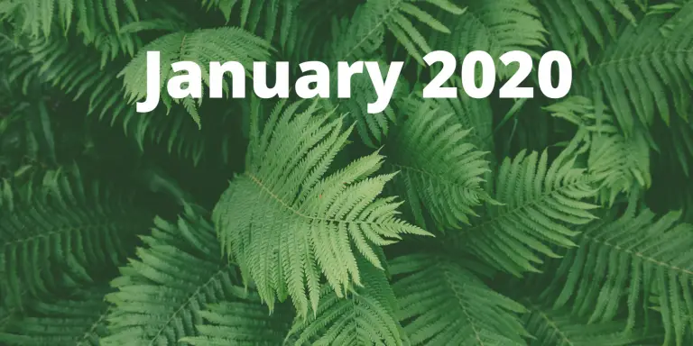 Month in Review: January 2020