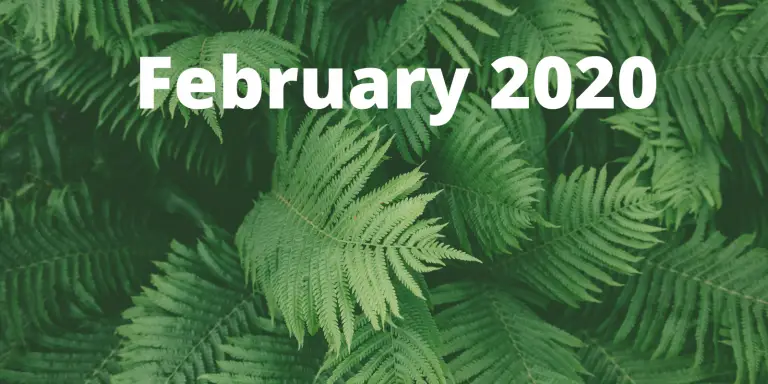 Month in Review: February 2020
